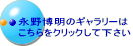 i씎̃M[ NbNĉ